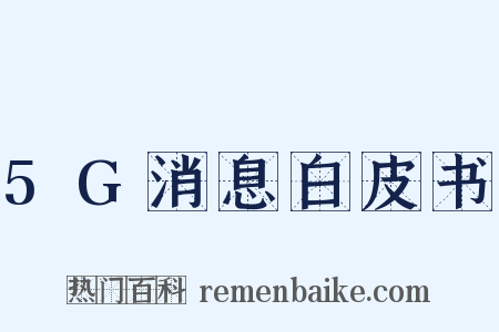 5G消息白皮书是什么意思的图片